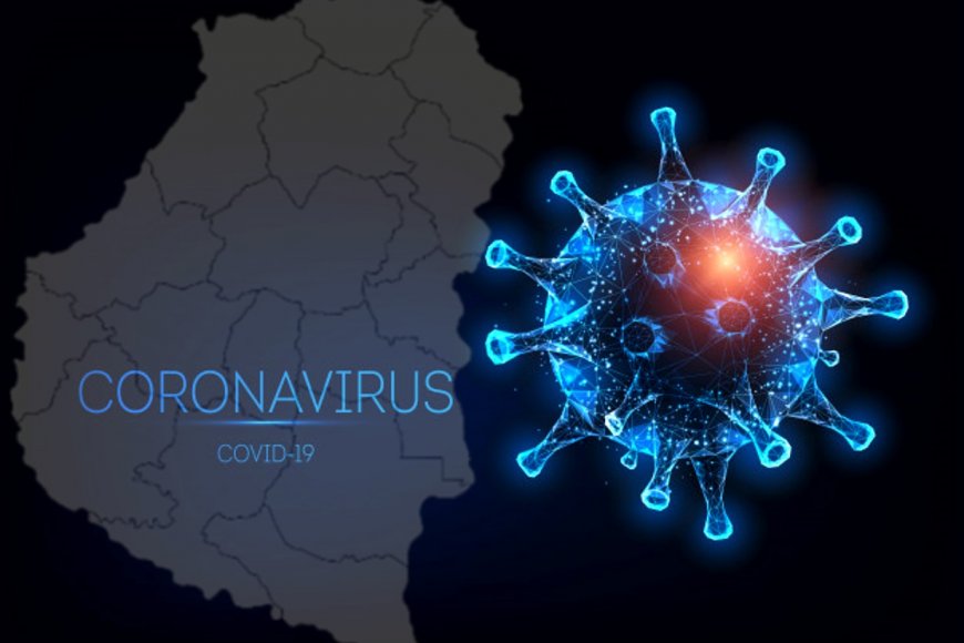 REPORTE EPIDEMIOLÓGICO DE ENTRE RÍOS 25/9/20