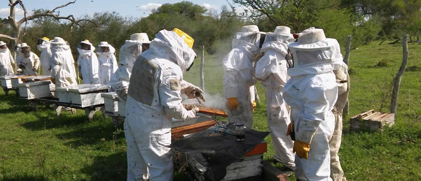 La provincia redobla el apoyo a productores ganaderos, tamberos y apícolas a través de una línea de crédito