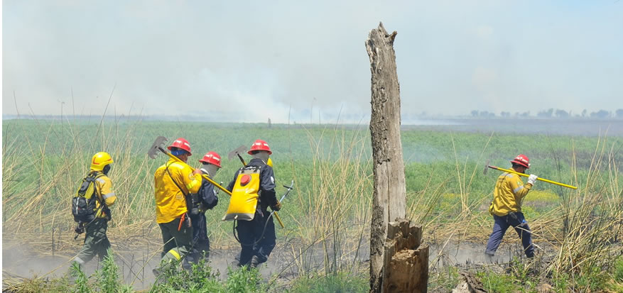 La provincia abonó más de ocho millones de pesos a Bomberos Voluntarios