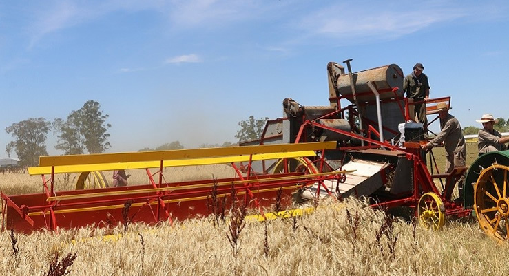 Hoy se celebra el “Día del Agricultor”